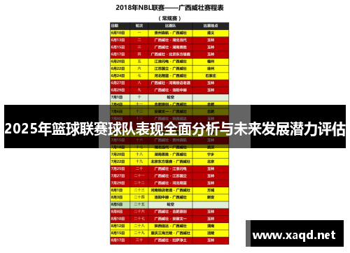 2025年篮球联赛球队表现全面分析与未来发展潜力评估