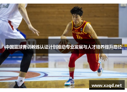 中国篮球青训教练认证计划推动专业发展与人才培养提升路径