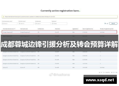 成都蓉城边锋引援分析及转会预算详解