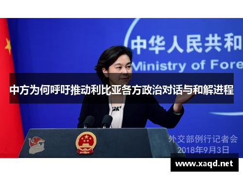 中方为何呼吁推动利比亚各方政治对话与和解进程
