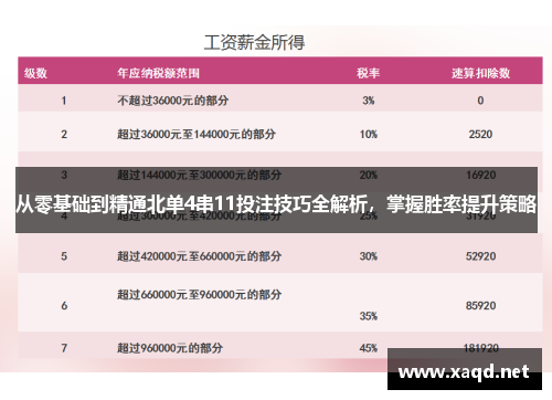 从零基础到精通北单4串11投注技巧全解析，掌握胜率提升策略