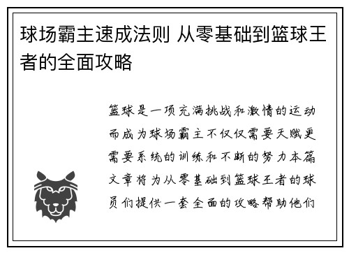 球场霸主速成法则 从零基础到篮球王者的全面攻略