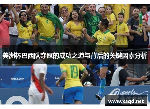 美洲杯巴西队夺冠的成功之道与背后的关键因素分析