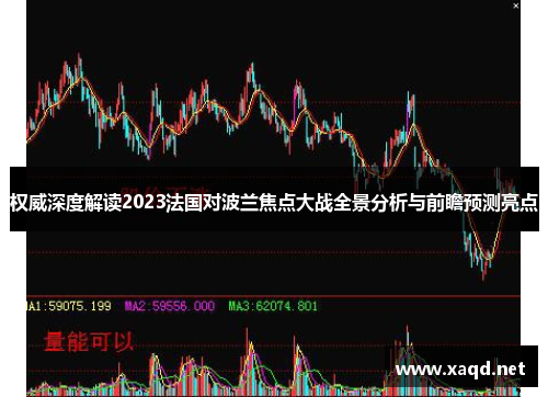 权威深度解读2023法国对波兰焦点大战全景分析与前瞻预测亮点