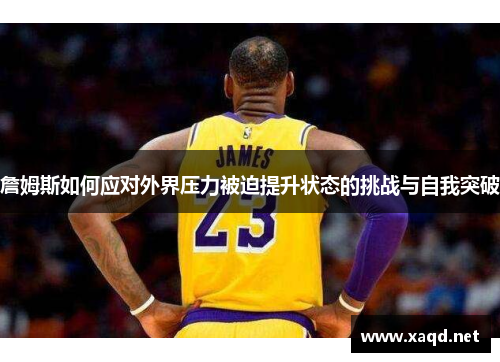 詹姆斯如何应对外界压力被迫提升状态的挑战与自我突破