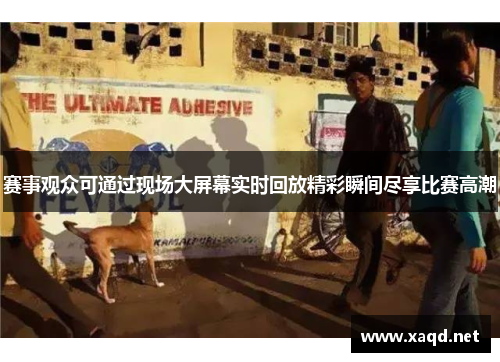 赛事观众可通过现场大屏幕实时回放精彩瞬间尽享比赛高潮